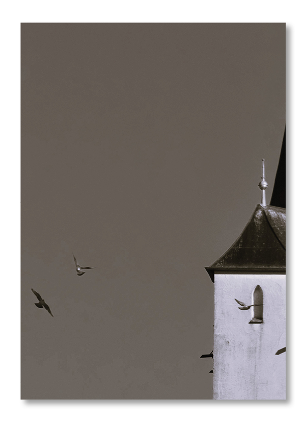 Fototgrafie eines Kirchturms mit Tauben in schwarz-weiss.